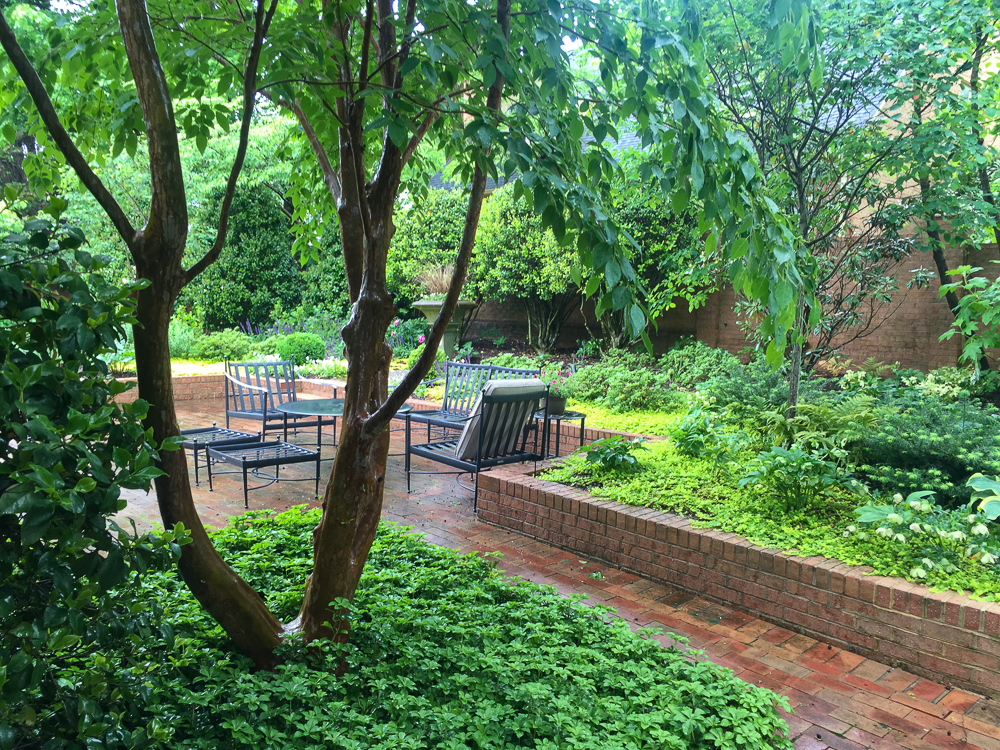Greensboro Courtyard Garden Studio Pagliai